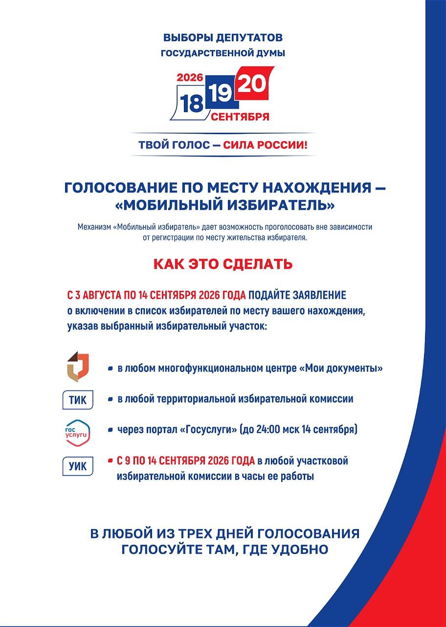 Выборы